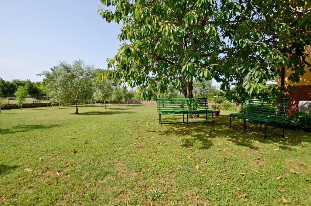 Apartment Karolina - Green Oasis Pula Exterior photo
