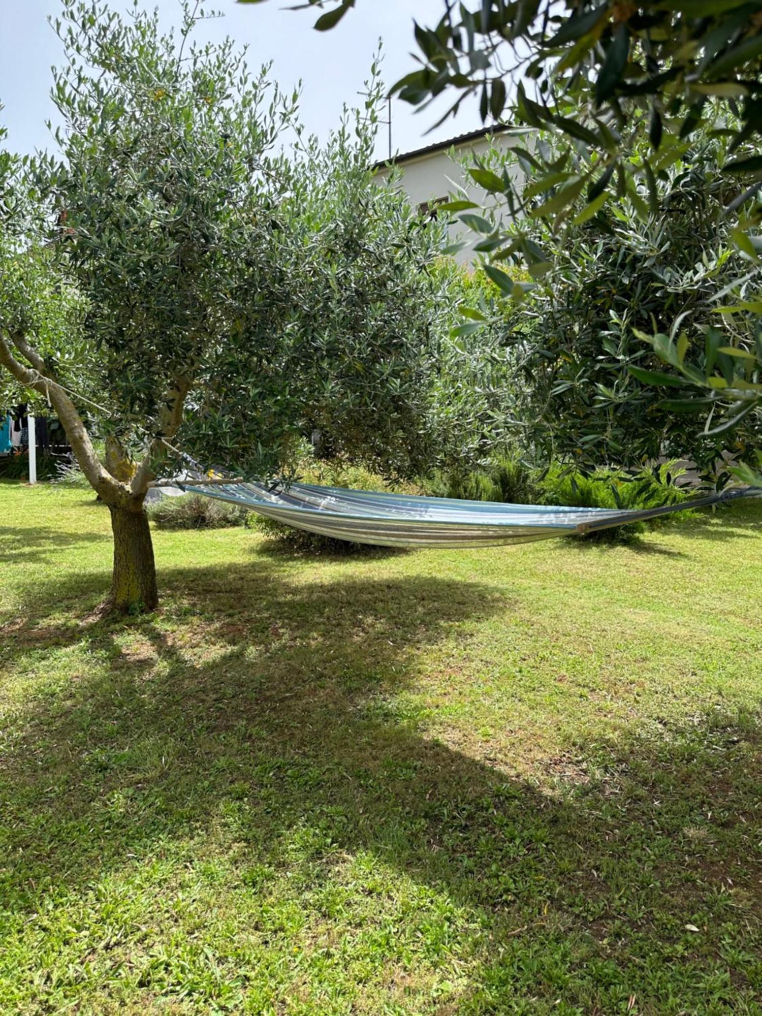 Apartment Karolina - Green Oasis Pula Exterior photo